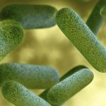 Вульвовагинит